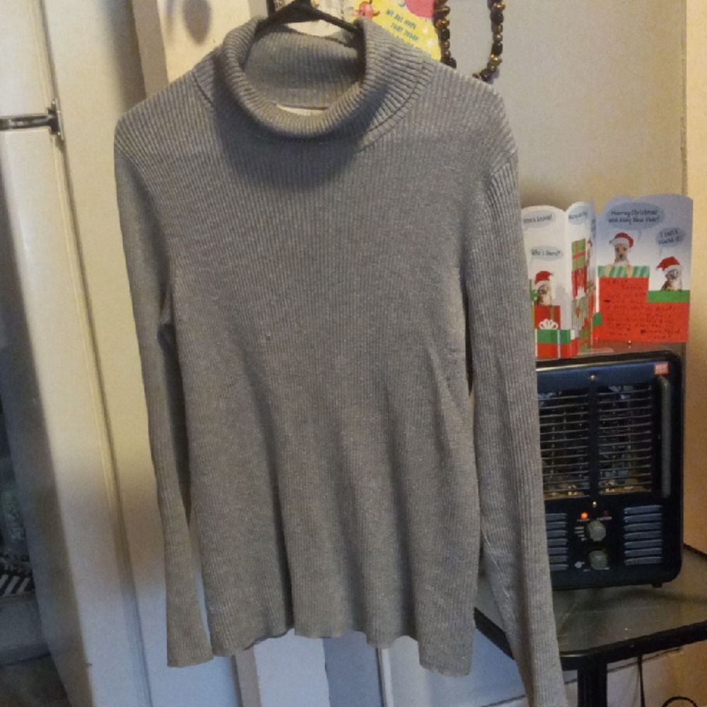 Time and Tru Light Gray Turtleneck Sweater